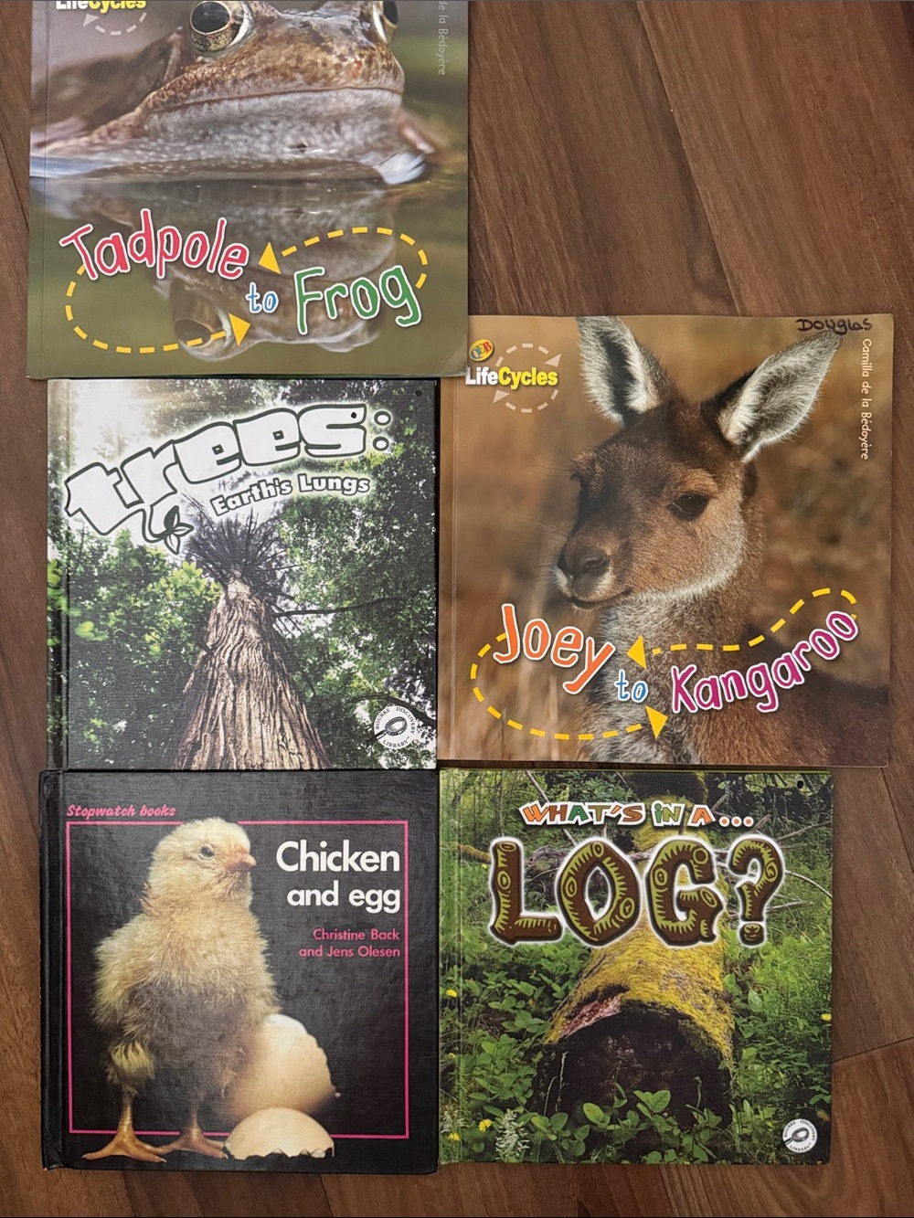 Children's LifeCycles and Nature Board Book Set - Colorful Animal Covers